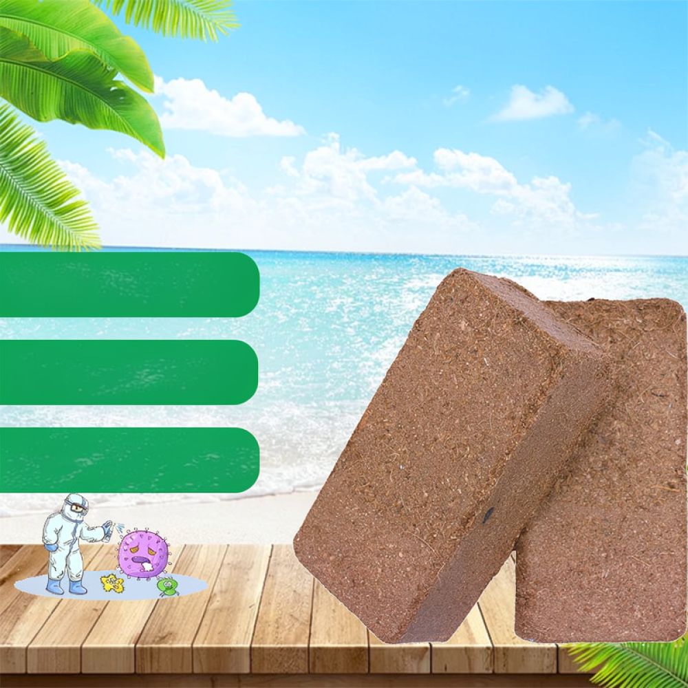 تربة جوز الهند المجففة عالية ا - مراجعة Substrate Coconut Fiber وسعره