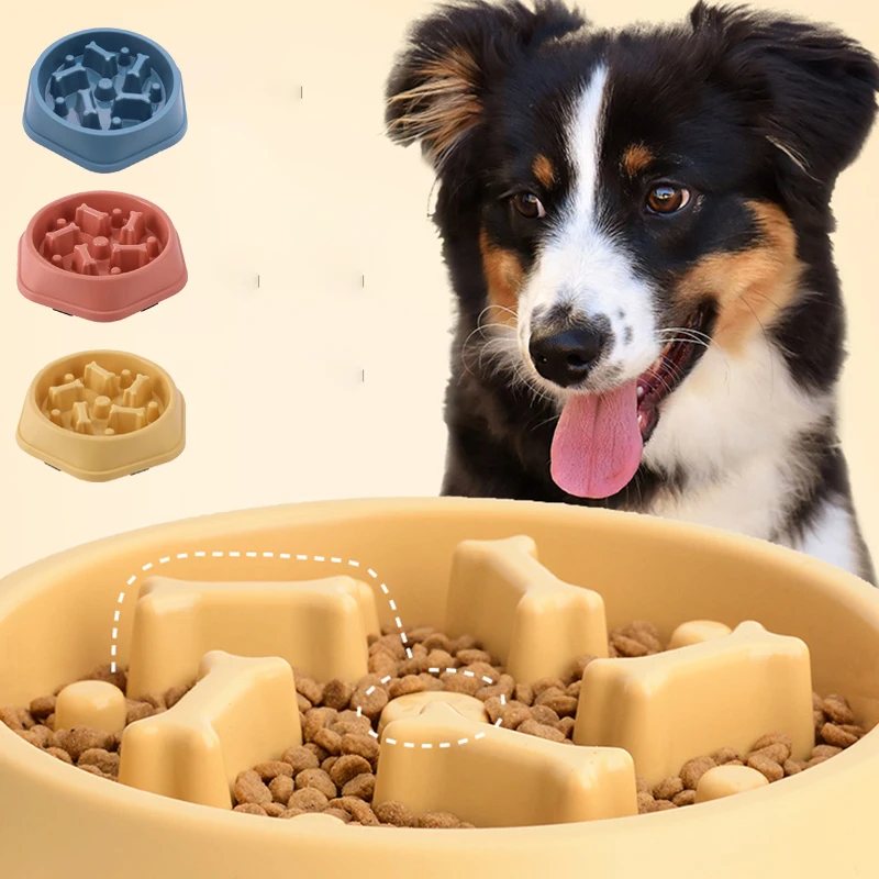 وعاء تغذية بطيء للكلاب، غير قا - مراجعة Royal Canin Food Medium وسعره