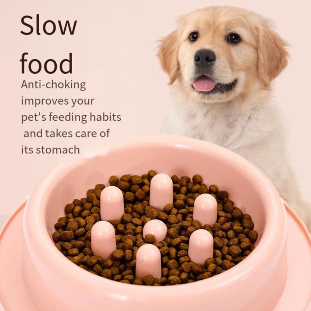 وعاء تغذية بطيء للكلاب، تصميم  - مراجعة Royal Canin Food Medium وسعره