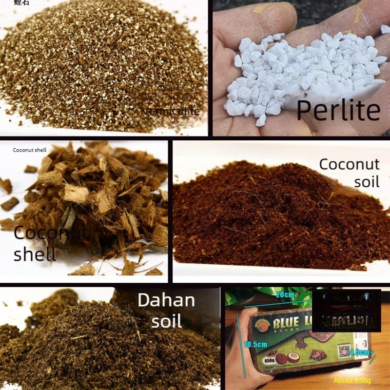 طين جوز الهند، طبقة تربة للزوا - مراجعة Substrate Coconut Fiber وسعره